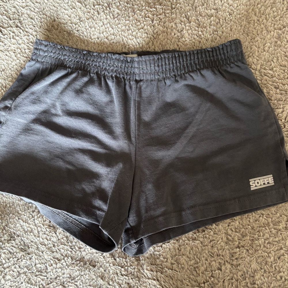 Grey Soffe shorts size X-Small.